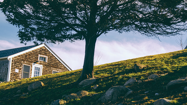House on a hill with a tree